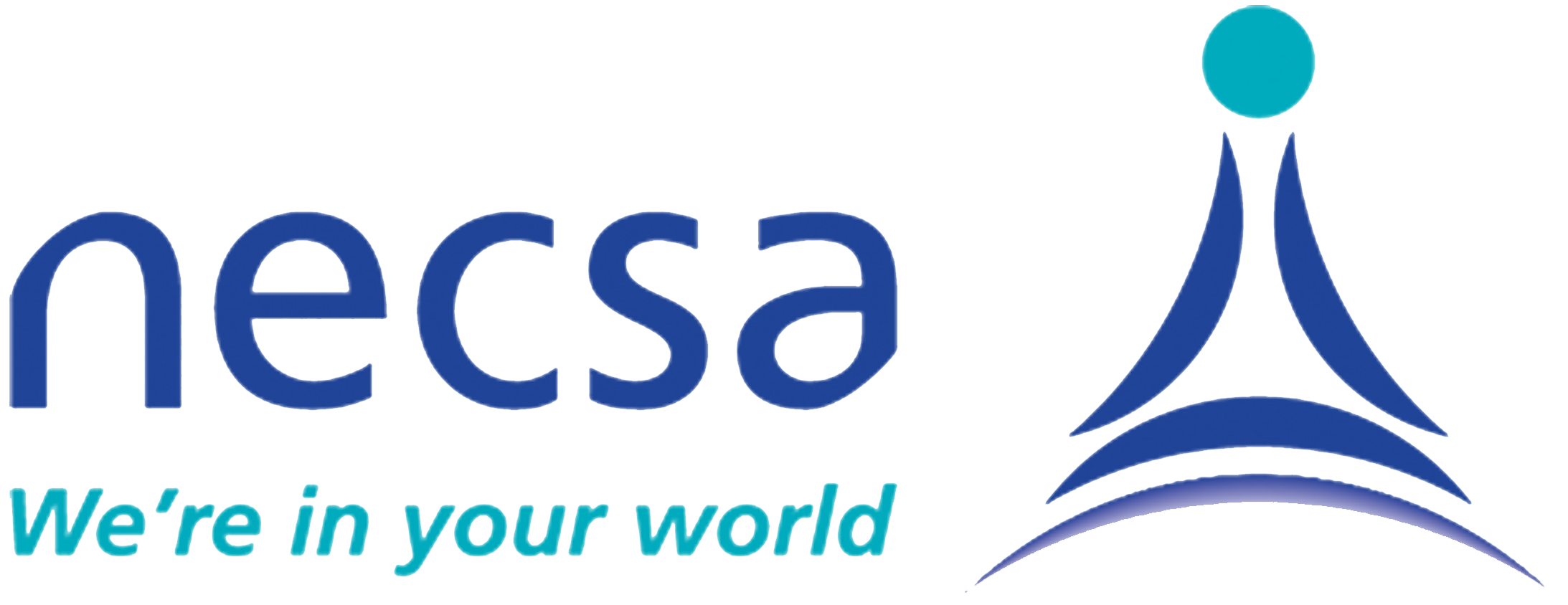 NECSA
